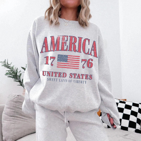 America Flag 17-76